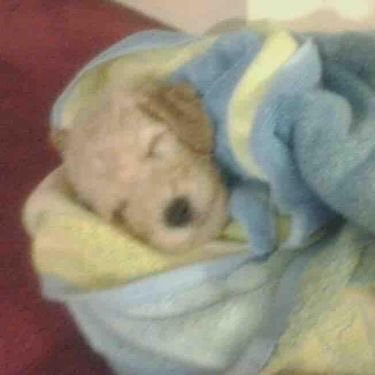 optimusbbok's profile picture. 쉿! 은밀한공간