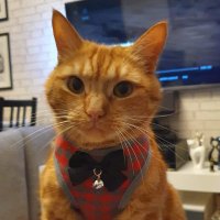 Arielek (@arielekcs2) 's Twitter Profile Photo Arielek (@arielekcs2) 's Twitter Profile Photo