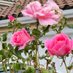 ✪lga 💕🌷🌸💞 (@olga49840334) Twitter profile photo ✪lga 💕🌷🌸💞 (@olga49840334) Twitter profile photo