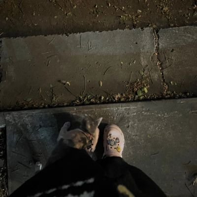 다시 시작할 내일은 없습니다. 🌻🌄