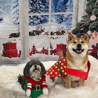 Akatope (@nattysalts) 's Twitter Profile