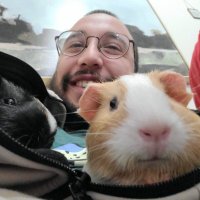 Schrödingerin Kedisi (@fuzzydusunceler) 's Twitter Profile