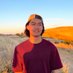 Alan Yao (@sudosandvich) Twitter profile photo Alan Yao (@sudosandvich) Twitter profile photo
