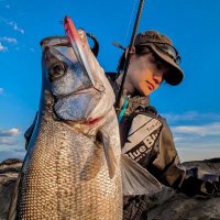 星 直希-Hoshi Naoki-🐟️ (@njangler_ex) 's Twitter Profile