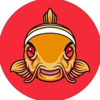 NEMO (@0xnemosum) 's Twitter Profile