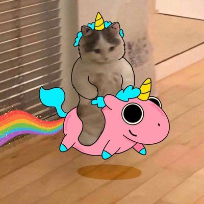 gatorTrader_'s profile picture. The whole world will gmichi