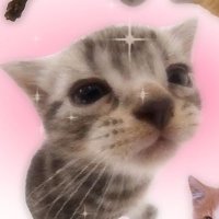 rori ๐แญช (@rori_a3) 's Twitter Profile