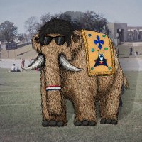 Roe (@roefinder) 's Twitter Profile