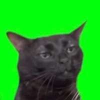 Maddie Hatter (@hattermaddie17) 's Twitter Profile Photo Maddie Hatter (@hattermaddie17) 's Twitter Profile Photo