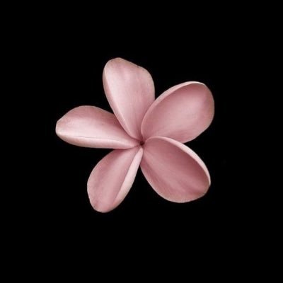 miz_259's profile picture. 