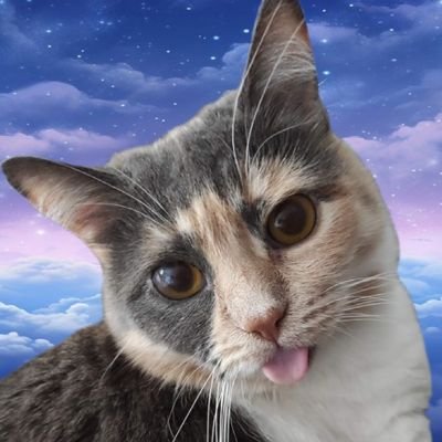 Zireael1251's profile picture. 
