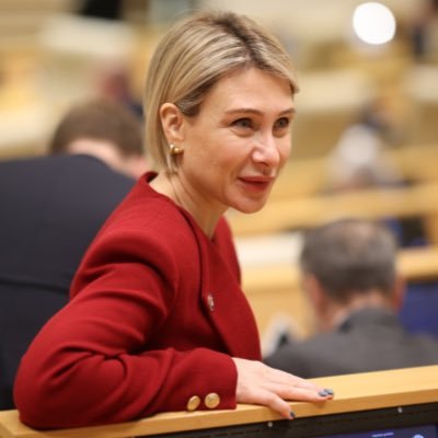 Vice Speaker of the Parliament of Georgia 🇬🇪 | party @GeorgianDream41 | WPL Country ambassador