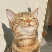 منِ نفرت انگیز (@i_nn_nn) 's Twitter Profile