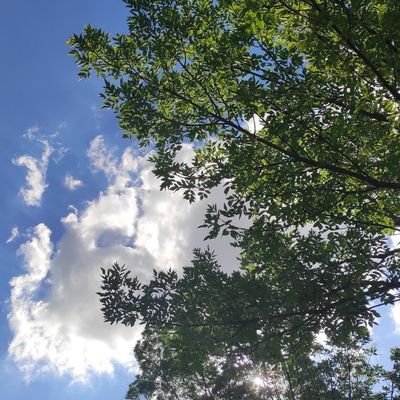 21dalveger's profile picture. M2x