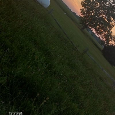 Rider316065's profile picture. 