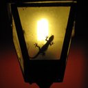 Tom McGrath - @tomcgrath - Twitter