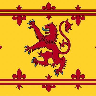 IainMcm55283700's profile picture. 