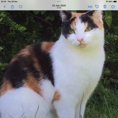 jaynemaura1's profile picture. 