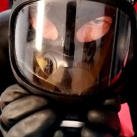 Latexeur (@latexeur) 's Twitter Profile