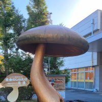 ニキ (@ar642oksa) Twitter profile photo