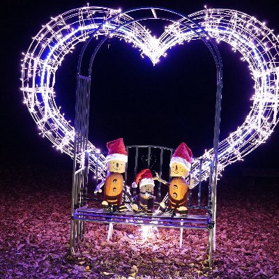 windytearoom's profile picture. 