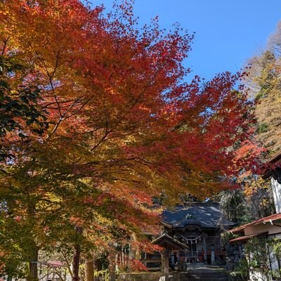 💌懸賞垢💌✨相互希望✨ 🐰うさぎ🐰1羽と同居中 ネザー♂8歳🌕️に帰っちゃいました😭、ロップ♀4歳、サカナクション