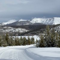 FutureGrasp (@futuregrasp) 's Twitter Profile