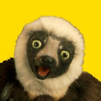 YoungSlumLord (@theyungslumlord) 's Twitter Profile Photo YoungSlumLord (@theyungslumlord) 's Twitter Profile Photo