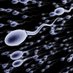 SpermLover3000 (@professorxxx10) Twitter profile photo SpermLover3000 (@professorxxx10) Twitter profile photo