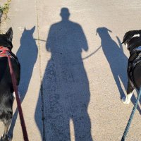 Tracy Jones (@busyboydrafting) 's Twitter Profile