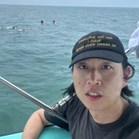 Paul Tao (@paultao) 's Twitter Profile