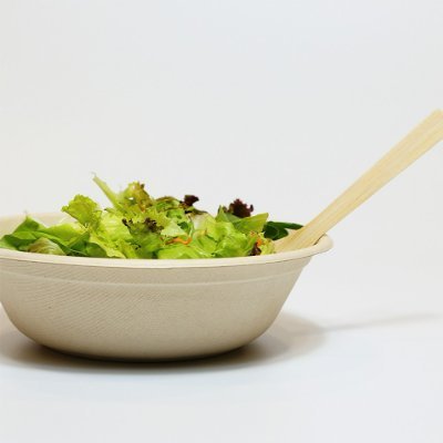 Sales manager of Guangxi Fineshine ECO Technology Co., Ltd a professional manufacturer of compostable Bagasse & bamboo disposable tableware & food packaging