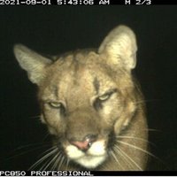 Dis-society (@stick_m4n) 's Twitter Profile