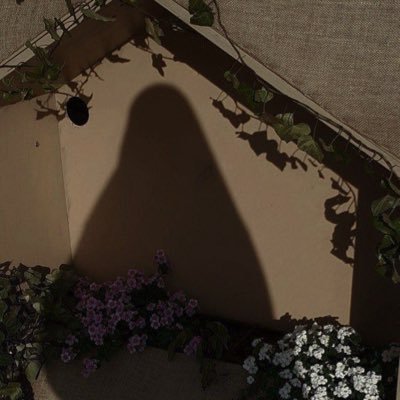 burxqo's profile picture. 