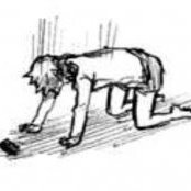 Nicholas Williams (@nwilliams67210) 's Twitter Profile