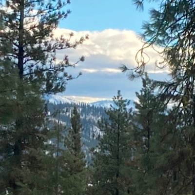 elkridgeidaho's profile picture. Nature Lover, Patriot and Passion for helping others!