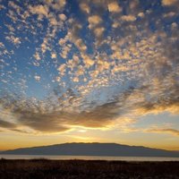 VenZenix (@venzenix) 's Twitter Profile Photo