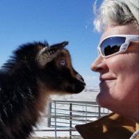 Kimberly (@k3tt13belle0206) 's Twitter Profile