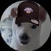 UNASoup🍜 (@unasoup1) Twitter profile photo