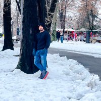 Rj Bashar (@abulbashar0184) 's Twitter Profile