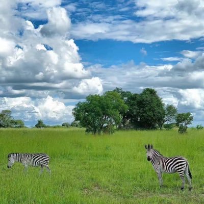 mamaaibaobao's profile picture. We and all other living organisms are made of stardust.