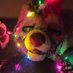 Indulgence Alumni ๐ MFF๐ (@fazboner) Twitter profile photo Indulgence Alumni ๐ MFF๐ (@fazboner) Twitter profile photo