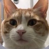 variegated66300's profile picture. ☆🐼熊猫のマーチ所属🐼☆★☆★レーシングマスターWolfgang所属★