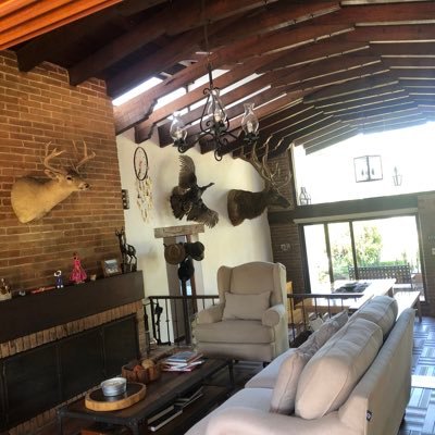 eldiegoxd15's profile picture. ...