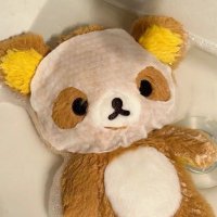 koi (@cniikmm) 's Twitter Profile