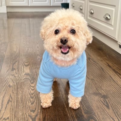 barron_sam3255's profile picture. PHD in Finance