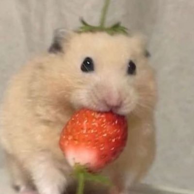 re1ationn's profile picture. 음메~~~