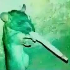 ElMaYoRsAcOwEbA's profile picture.