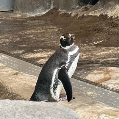 ブラックメタリック12さんのプロフィール画像