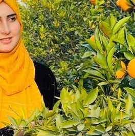 abdulha4159234's profile picture. 